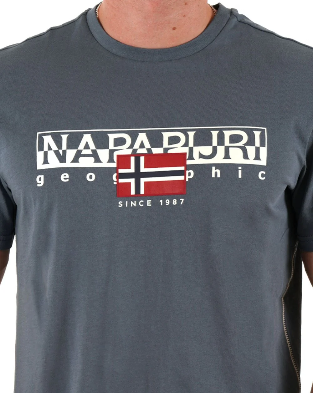 Napapijri Aylmer T Shirt Stormy Weather - Image 2